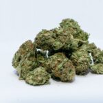 For enthusiasts seeking premium hemp-derived products, Burning Daily has become a go-to online destination. By focusing on safety, variety, and convenience, the brand delivers a shopping experience that blends transparency with reliable service. From THCA flower to edibles and disposables, Burning Daily ensures that every product is backed by lab testing and fast delivery.