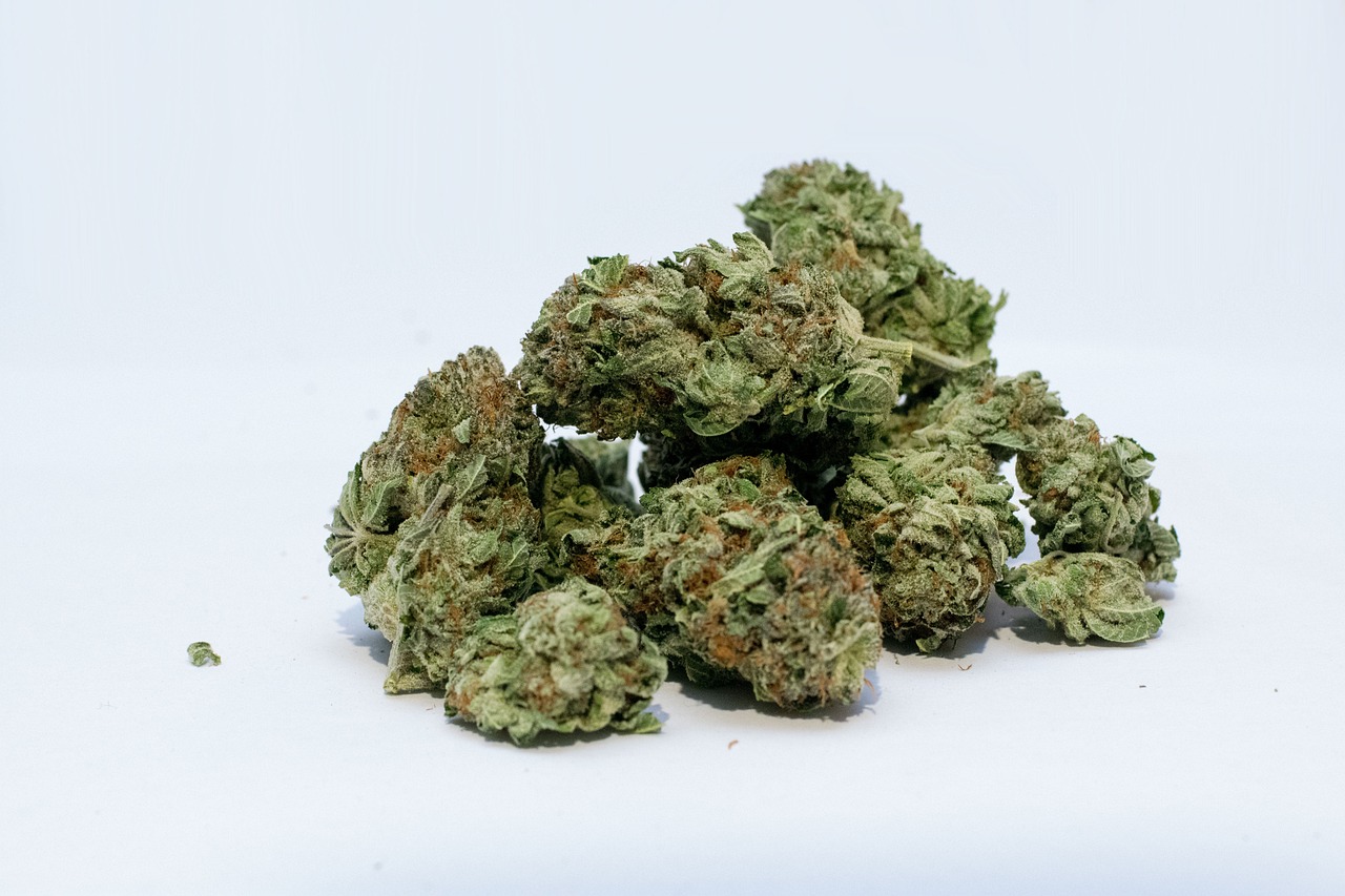 For enthusiasts seeking premium hemp-derived products, Burning Daily has become a go-to online destination. By focusing on safety, variety, and convenience, the brand delivers a shopping experience that blends transparency with reliable service. From THCA flower to edibles and disposables, Burning Daily ensures that every product is backed by lab testing and fast delivery.